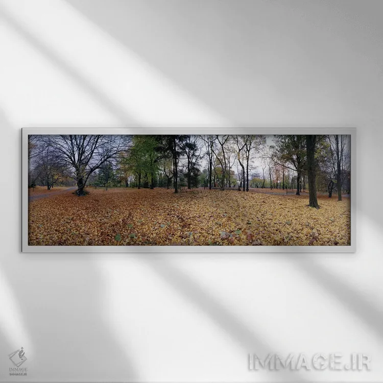 تابلو دکوراتیو Central Park, Manhattan, New York City, New York State… اثر پانورامیک ایمجز - نمای قابدار سفید