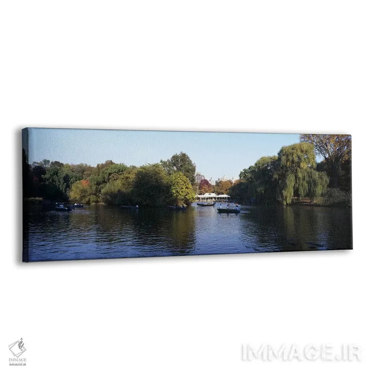 تابلو دکوراتیو Central Park, Manhattan, New York City, New York State… اثر پانورامیک ایمجز - نمای پرسپکتیو محصول