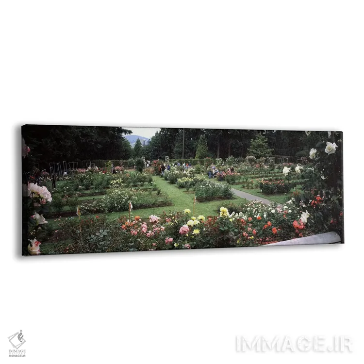 تابلو دکوراتیو International Rose Test Garden, Washington Park, Portla… اثر پانورامیک ایمجز - نمای پرسپکتیو محصول