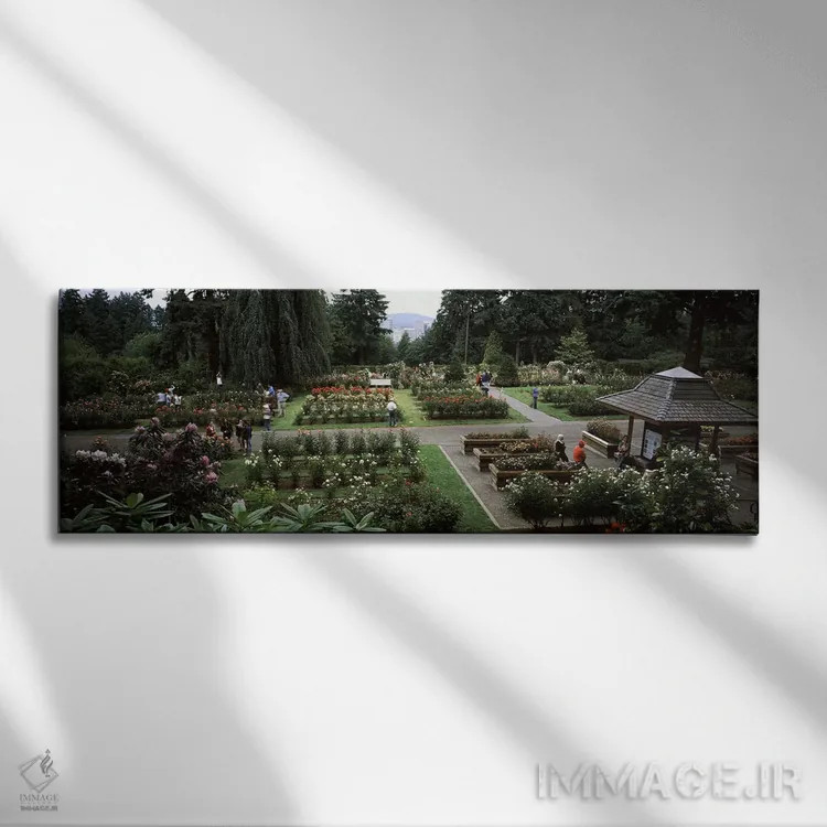 تابلو دکوراتیو International Rose Test Garden, Washington Park, Portla… اثر پانورامیک ایمجز - نمای روبهرو روی دیوار