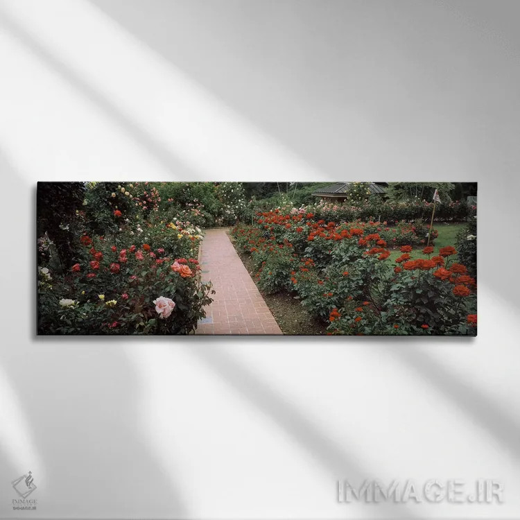 تابلو دکوراتیو International Rose Test Garden, Washington Park, Portla… اثر پانورامیک ایمجز - نمای روبهرو روی دیوار