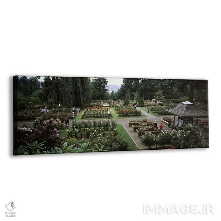 تابلو دکوراتیو International Rose Test Garden, Washington Park, Portla… اثر پانورامیک ایمجز - نمای پرسپکتیو محصول