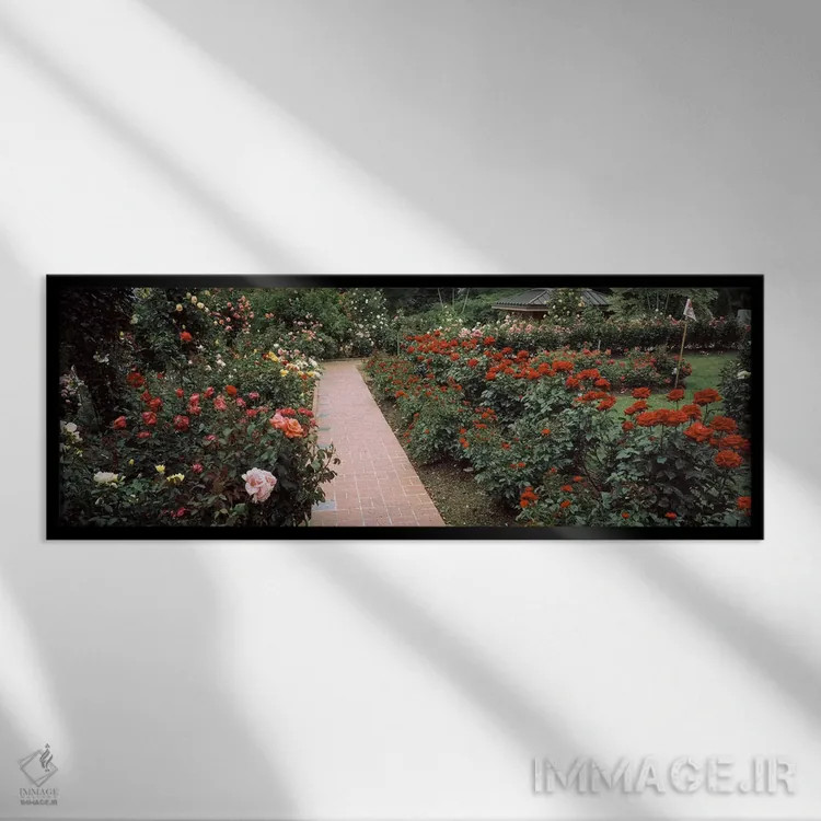 تابلو دکوراتیو International Rose Test Garden, Washington Park, Portla… اثر پانورامیک ایمجز - نمای قابدار مشکی