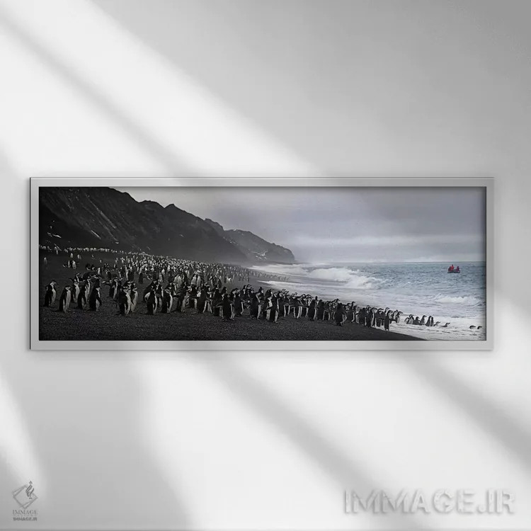 تابلو دکوراتیو Bailey Head, Deception Island, Antarctica,پنگوئن های بن… اثر پانورامیک ایمجز - نمای قابدار سفید