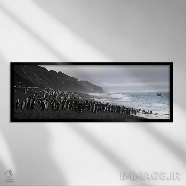 تابلو دکوراتیو Bailey Head, Deception Island, Antarctica,پنگوئن های بن… اثر پانورامیک ایمجز - نمای قابدار مشکی
