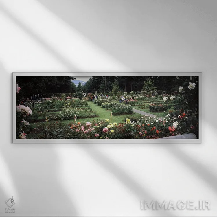 تابلو دکوراتیو International Rose Test Garden, Washington Park, Portla… اثر پانورامیک ایمجز - نمای قابدار سفید