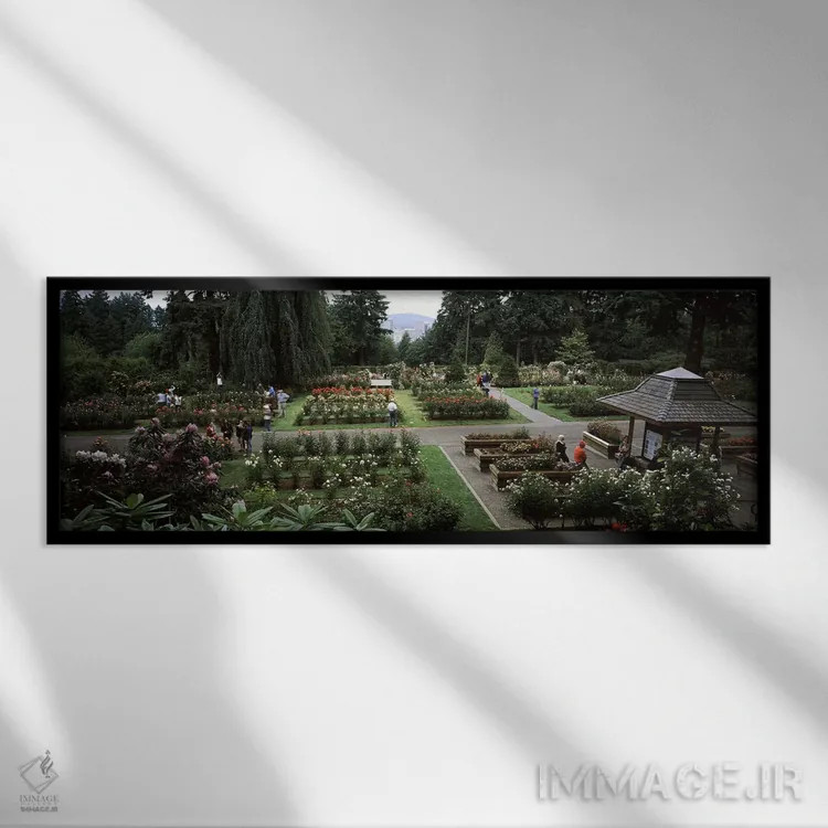 تابلو دکوراتیو International Rose Test Garden, Washington Park, Portla… اثر پانورامیک ایمجز - نمای قابدار مشکی