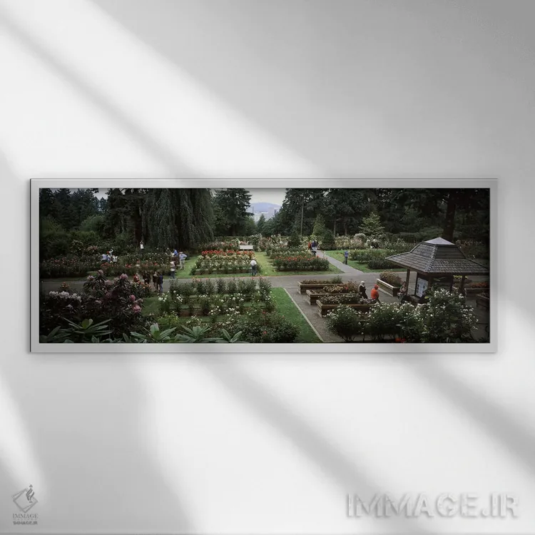 تابلو دکوراتیو International Rose Test Garden, Washington Park, Portla… اثر پانورامیک ایمجز - نمای قابدار سفید