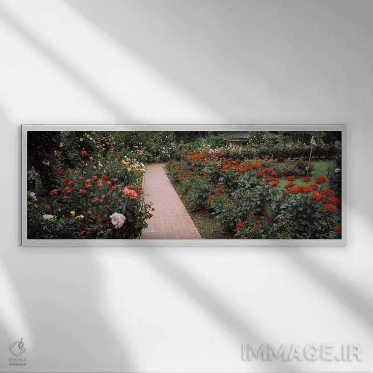 تابلو دکوراتیو International Rose Test Garden, Washington Park, Portla… اثر پانورامیک ایمجز - نمای قابدار سفید