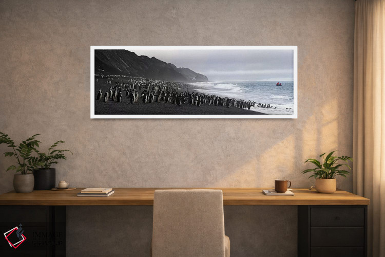 تابلو دکوراتیو Bailey Head, Deception Island, Antarctica,پنگوئن های بن… اثر پانورامیک ایمجز - D1W