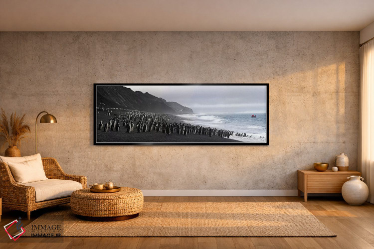 تابلو دکوراتیو Bailey Head, Deception Island, Antarctica,پنگوئن های بن… اثر پانورامیک ایمجز - D2B