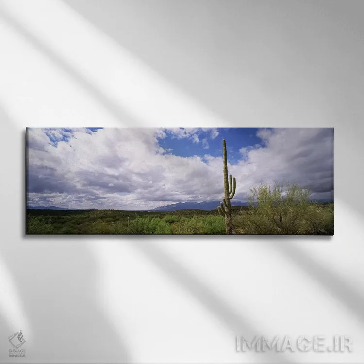 تابلو دکوراتیو Saguaro National Monument, Tucson, Arizona, USA,کاکتوس… اثر پانورامیک ایمجز - نمای روبهرو روی دیوار