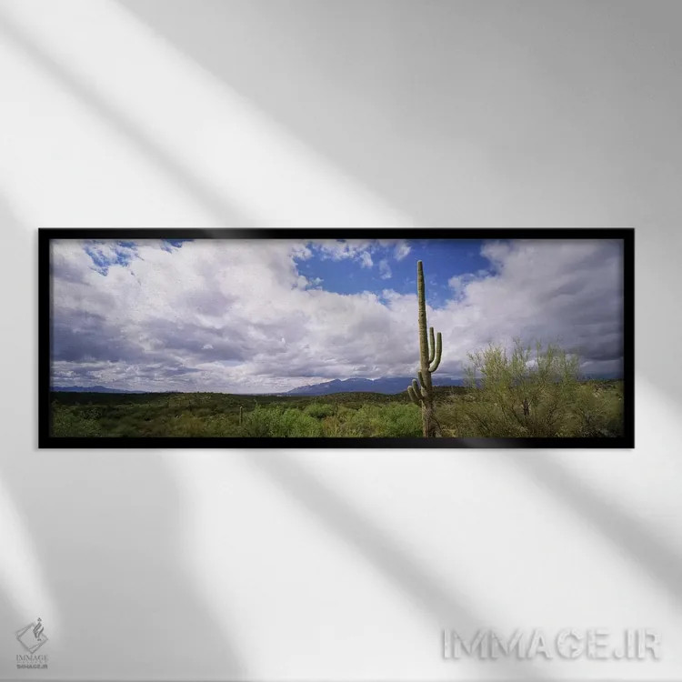 تابلو دکوراتیو Saguaro National Monument, Tucson, Arizona, USA,کاکتوس… اثر پانورامیک ایمجز - نمای قابدار مشکی