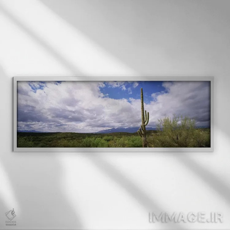 تابلو دکوراتیو Saguaro National Monument, Tucson, Arizona, USA,کاکتوس… اثر پانورامیک ایمجز - نمای قابدار سفید
