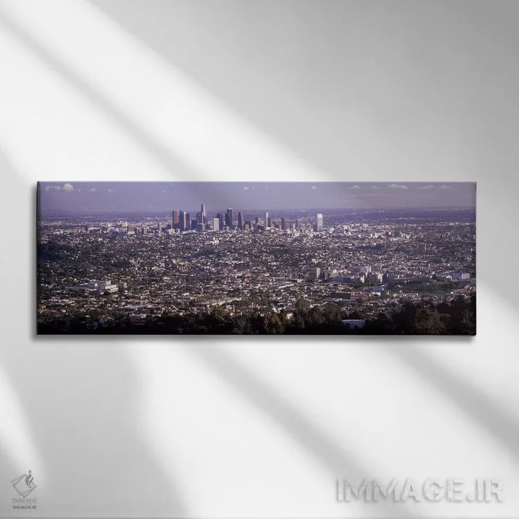 تابلو دکوراتیو Los Angeles, California, USA 2010,نمای هوایی از منظره ش… اثر پانورامیک ایمجز - نمای روبهرو روی دیوار