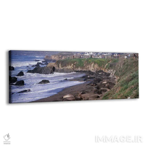 تابلو دکوراتیو San Luis Obispo County, California, USA #2,فک های فیلی… اثر پانورامیک ایمجز - نمای پرسپکتیو محصول