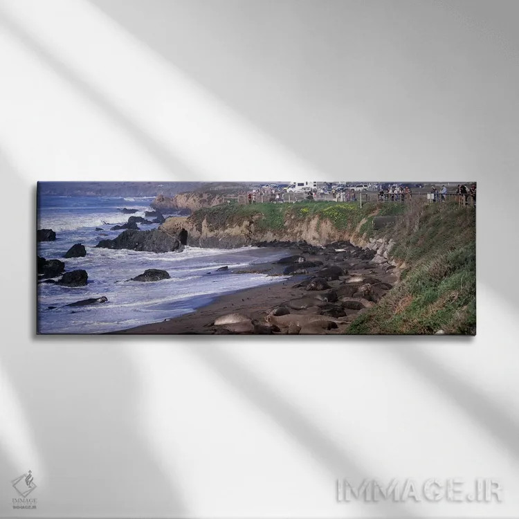 تابلو دکوراتیو San Luis Obispo County, California, USA #2,فک های فیلی… اثر پانورامیک ایمجز - نمای روبهرو روی دیوار