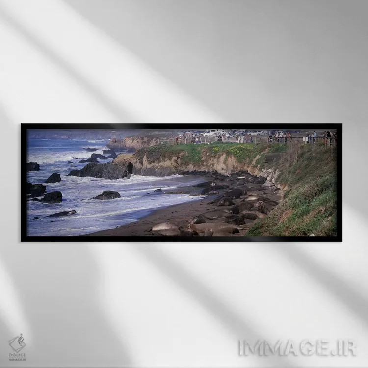 تابلو دکوراتیو San Luis Obispo County, California, USA #2,فک های فیلی… اثر پانورامیک ایمجز - نمای قابدار مشکی