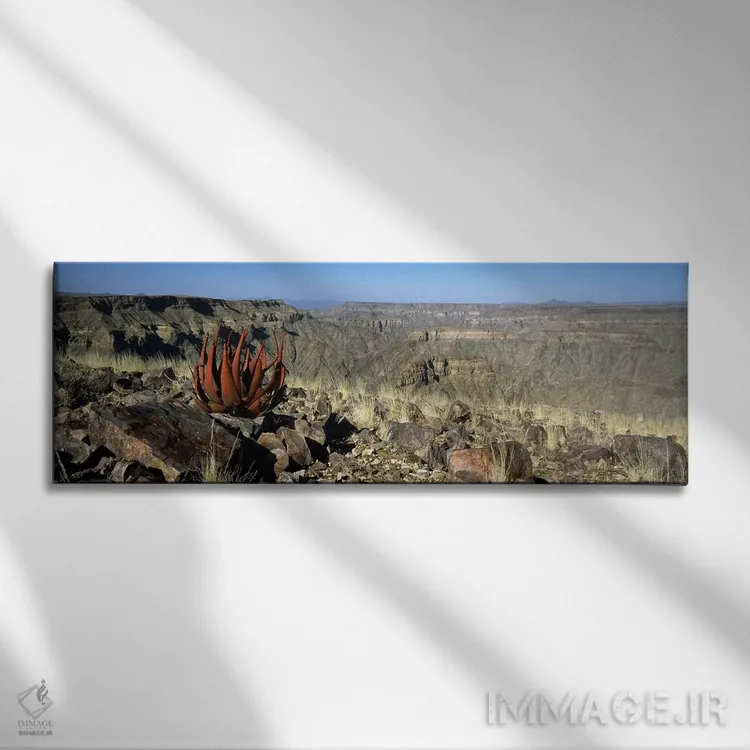 تابلو دکوراتیو Namibia,رشد آلوئه در لبه یک دره، دره فیش ریور، نامیبیا اثر پانورامیک ایمجز - نمای روبهرو روی دیوار