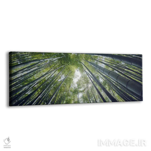 تابلو دکوراتیو Hokokuji Temple, Kamakura, Kanagawa Prefecture, Kanto R… اثر پانورامیک ایمجز - نمای پرسپکتیو محصول