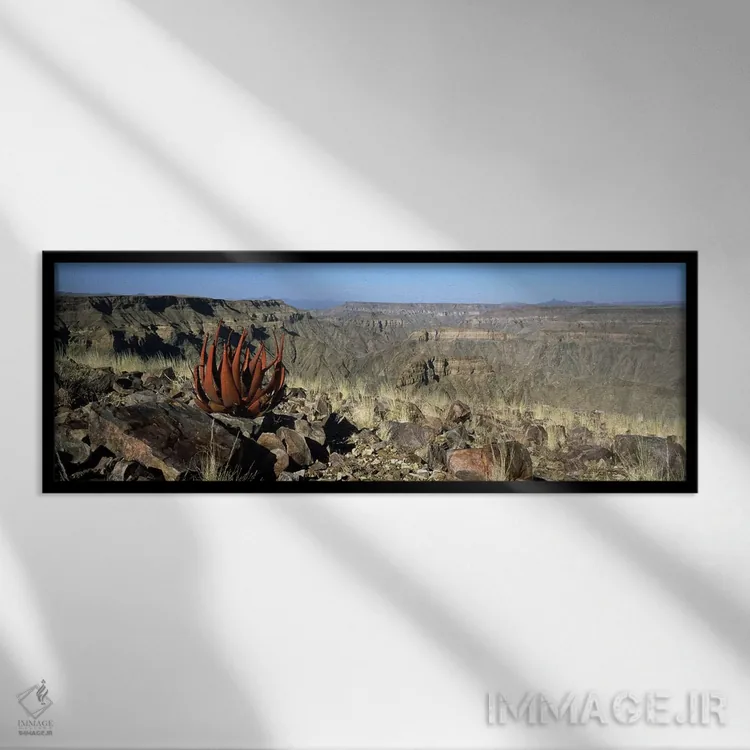 تابلو دکوراتیو Namibia,رشد آلوئه در لبه یک دره، دره فیش ریور، نامیبیا اثر پانورامیک ایمجز - نمای قابدار مشکی