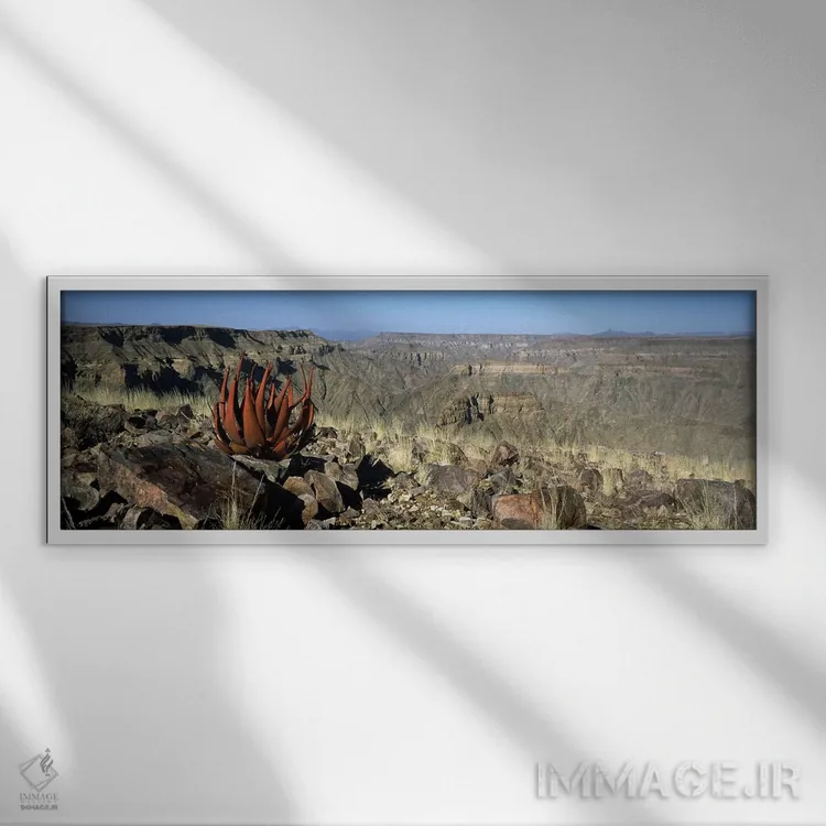 تابلو دکوراتیو Namibia,رشد آلوئه در لبه یک دره، دره فیش ریور، نامیبیا اثر پانورامیک ایمجز - نمای قابدار سفید