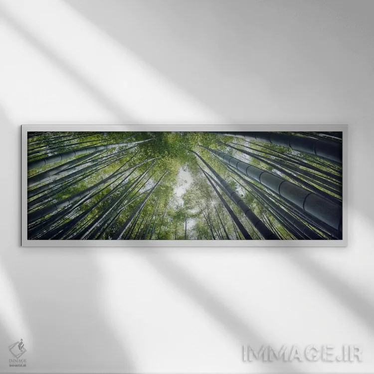 تابلو دکوراتیو Hokokuji Temple, Kamakura, Kanagawa Prefecture, Kanto R… اثر پانورامیک ایمجز - نمای قابدار سفید