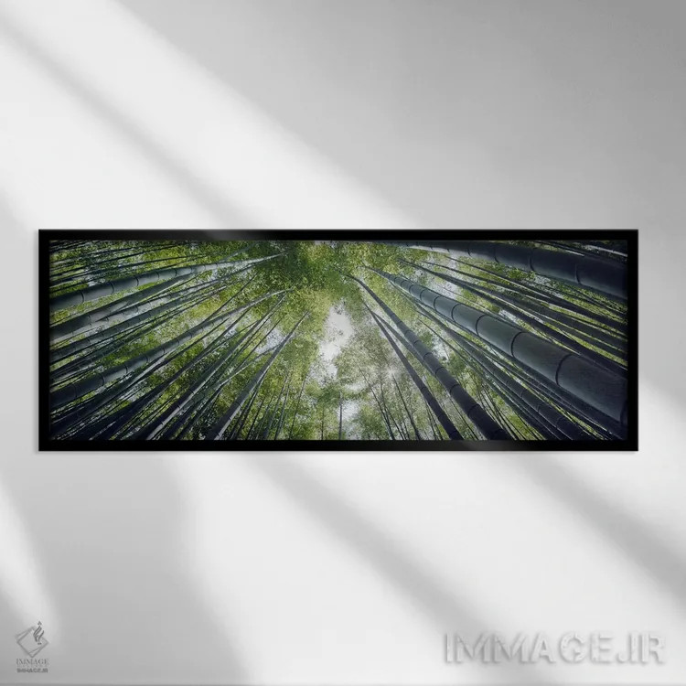 تابلو دکوراتیو Hokokuji Temple, Kamakura, Kanagawa Prefecture, Kanto R… اثر پانورامیک ایمجز - نمای قابدار مشکی