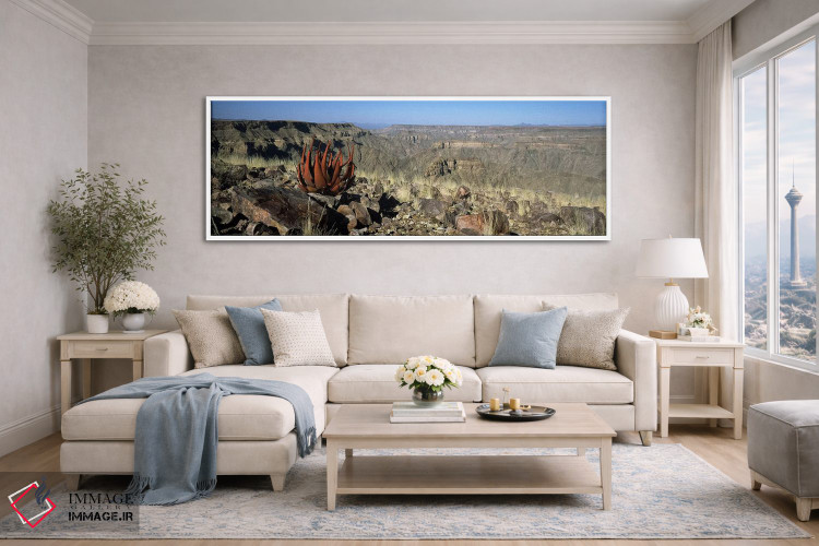 تابلو دکوراتیو Namibia,رشد آلوئه در لبه یک دره، دره فیش ریور، نامیبیا اثر پانورامیک ایمجز - D4W