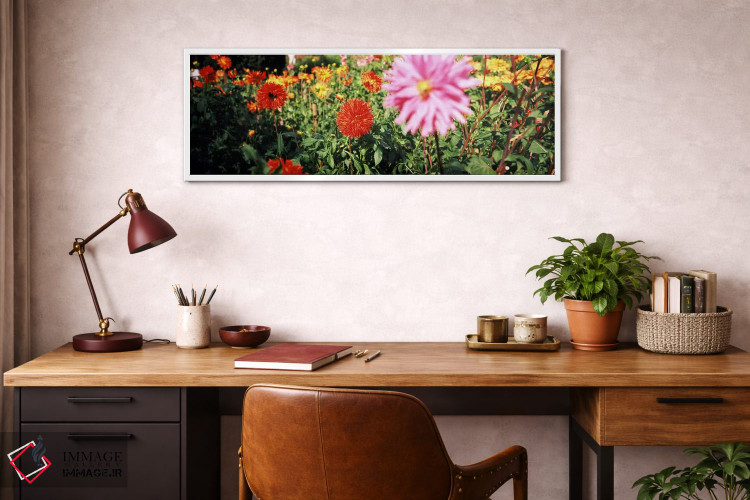 تابلو دکوراتیو Stuttgart, Baden-Wurttemberg, Germany,گل های داهلیا در… اثر پانورامیک ایمجز - D3W