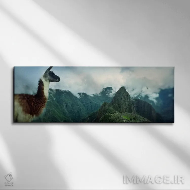 تابلو دکوراتیو Machu Picchu, Cusco Region, Peru,آلپاکا روی کوه با سایت… اثر پانورامیک ایمجز - نمای روبهرو روی دیوار
