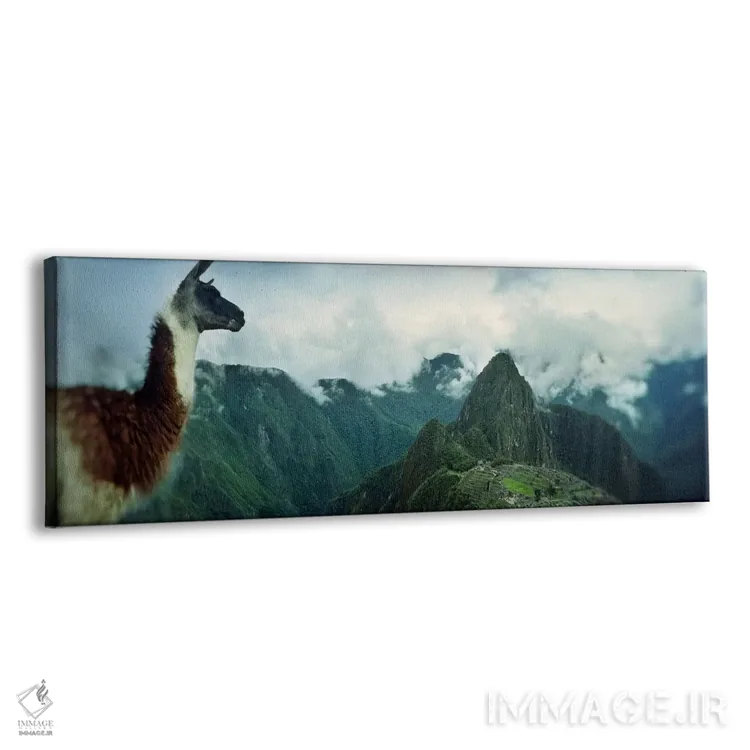تابلو دکوراتیو Machu Picchu, Cusco Region, Peru,آلپاکا روی کوه با سایت… اثر پانورامیک ایمجز - نمای پرسپکتیو محصول
