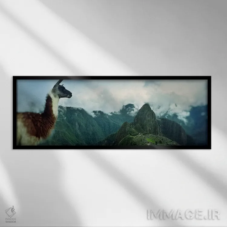 تابلو دکوراتیو Machu Picchu, Cusco Region, Peru,آلپاکا روی کوه با سایت… اثر پانورامیک ایمجز - نمای قابدار مشکی