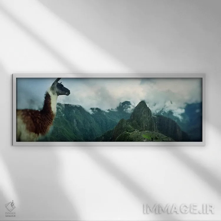 تابلو دکوراتیو Machu Picchu, Cusco Region, Peru,آلپاکا روی کوه با سایت… اثر پانورامیک ایمجز - نمای قابدار سفید