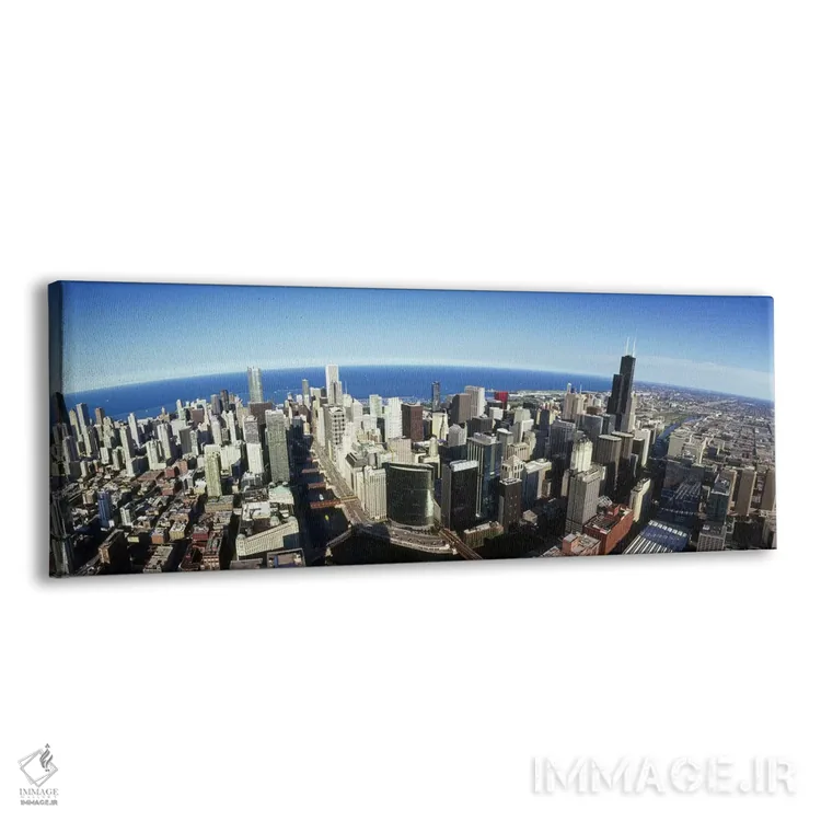 تابلو دکوراتیو Chicago, Cook County, Illinois, USA 2010 #3,نمای هوایی… اثر پانورامیک ایمجز - نمای پرسپکتیو محصول