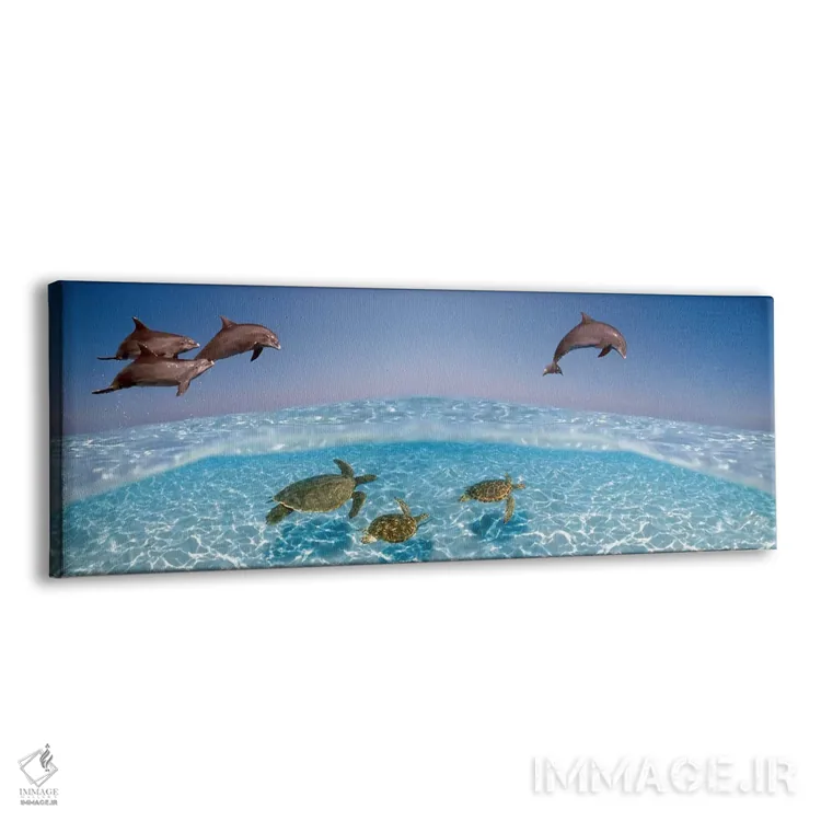 تابلو دکوراتیو دلفین بینی بطری در حال پرش و لاک پشت ها در حال شنا زیر… اثر پانورامیک ایمجز - نمای پرسپکتیو محصول