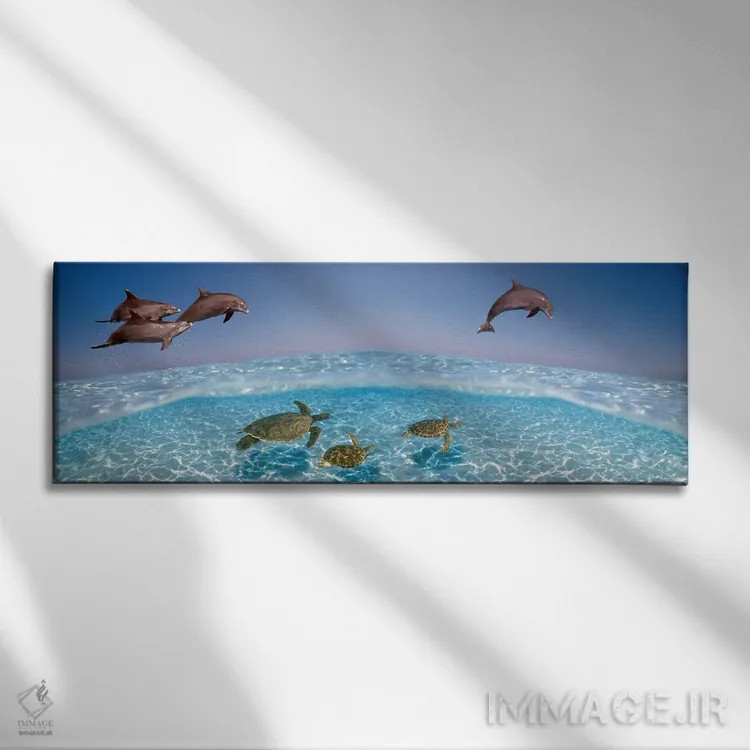 تابلو دکوراتیو دلفین بینی بطری در حال پرش و لاک پشت ها در حال شنا زیر… اثر پانورامیک ایمجز - نمای روبهرو روی دیوار