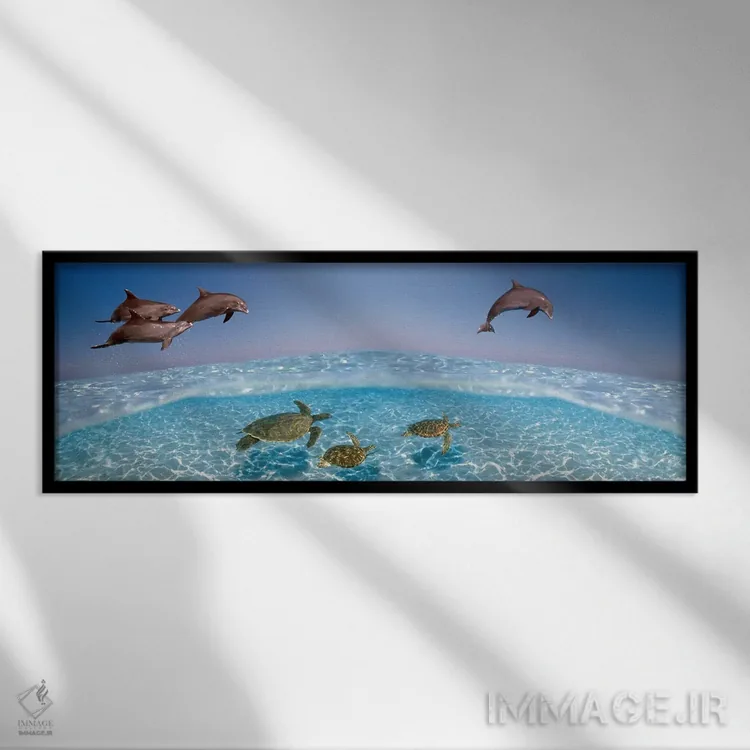 تابلو دکوراتیو دلفین بینی بطری در حال پرش و لاک پشت ها در حال شنا زیر… اثر پانورامیک ایمجز - نمای قابدار مشکی