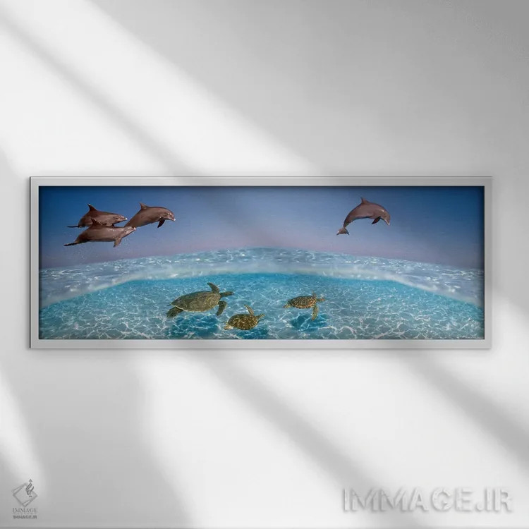 تابلو دکوراتیو دلفین بینی بطری در حال پرش و لاک پشت ها در حال شنا زیر… اثر پانورامیک ایمجز - نمای قابدار سفید