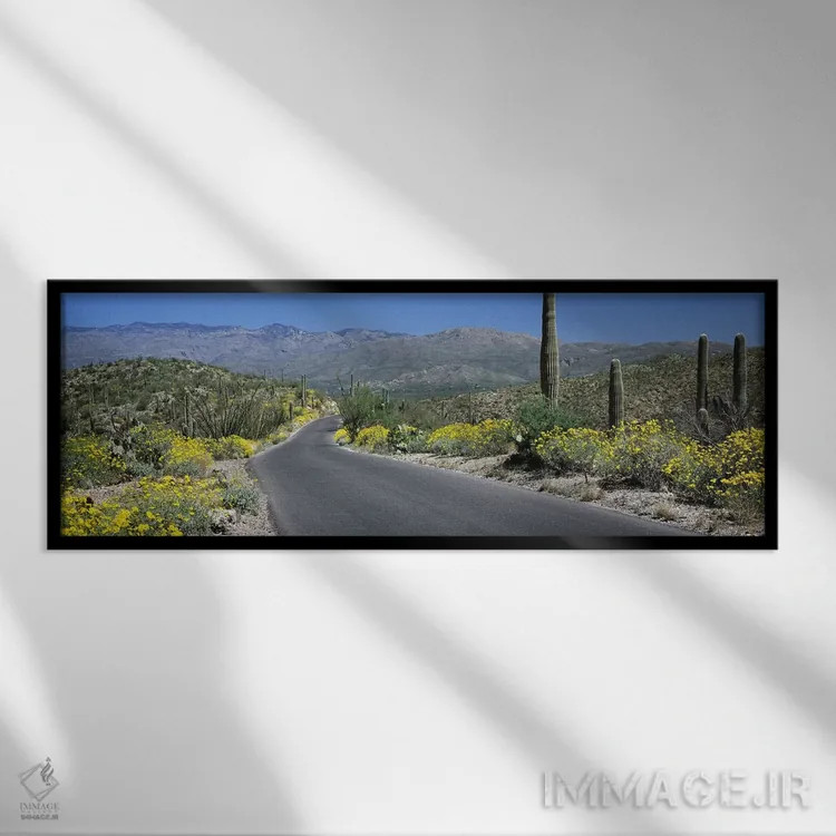 تابلو دکوراتیو Saguaro National Park, Tucson, Pima County, Arizona, US… اثر پانورامیک ایمجز - نمای قابدار مشکی