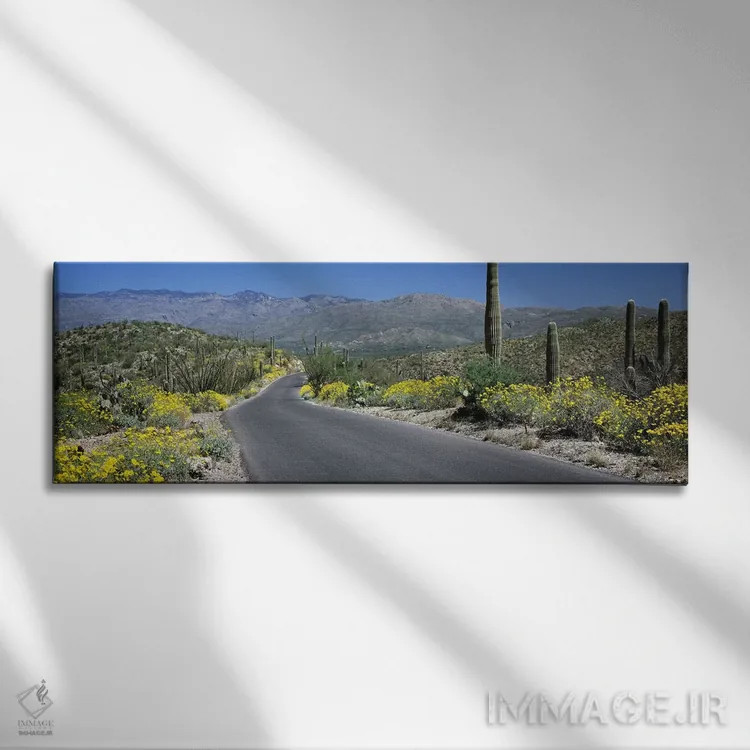 تابلو دکوراتیو Saguaro National Park, Tucson, Pima County, Arizona, US… اثر پانورامیک ایمجز - نمای روبهرو روی دیوار