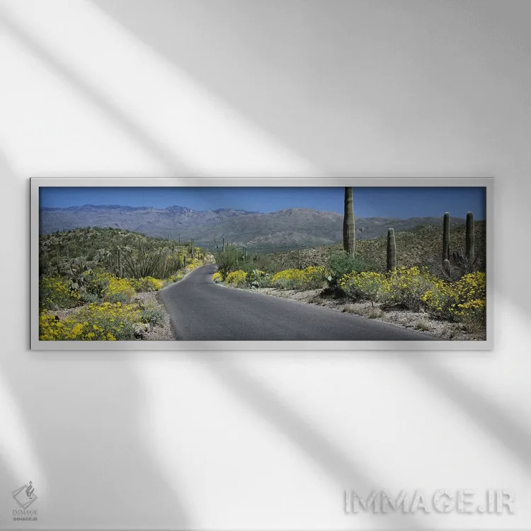 تابلو دکوراتیو Saguaro National Park, Tucson, Pima County, Arizona, US… اثر پانورامیک ایمجز - نمای قابدار سفید