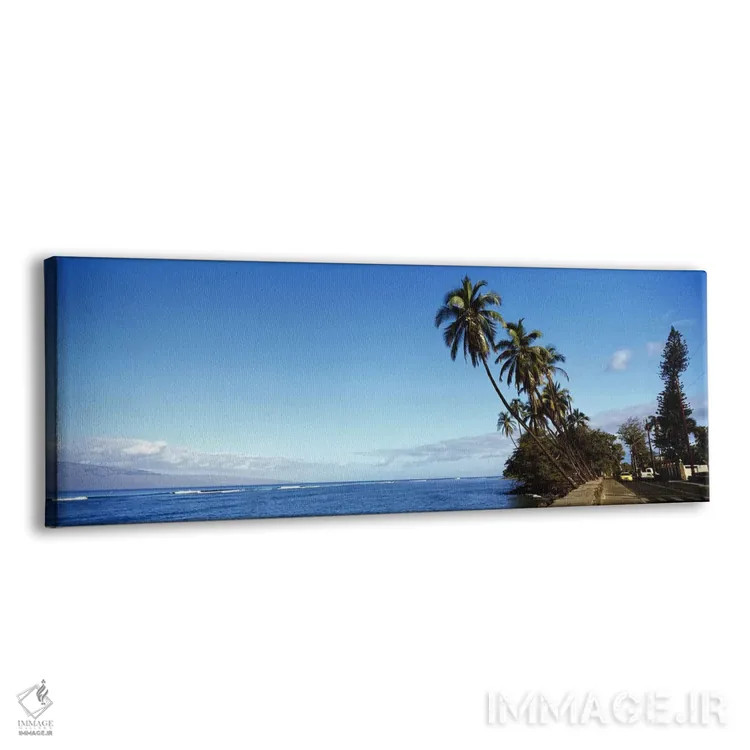 تابلو دکوراتیو Lahaina, Maui County, Hawaii, USA,درختان نخل خمیده در ا… اثر پانورامیک ایمجز - نمای پرسپکتیو محصول