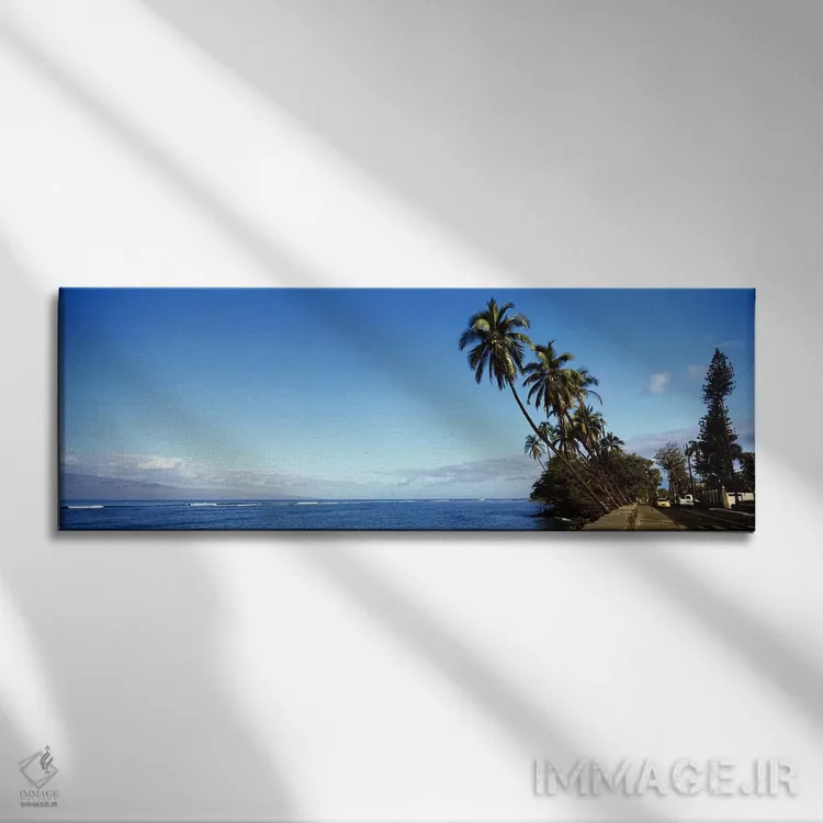 تابلو دکوراتیو Lahaina, Maui County, Hawaii, USA,درختان نخل خمیده در ا… اثر پانورامیک ایمجز - نمای روبهرو روی دیوار