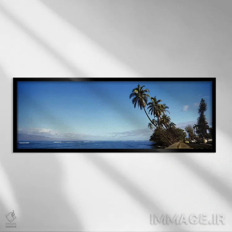 تابلو دکوراتیو Lahaina, Maui County, Hawaii, USA,درختان نخل خمیده در ا… اثر پانورامیک ایمجز - نمای قابدار مشکی