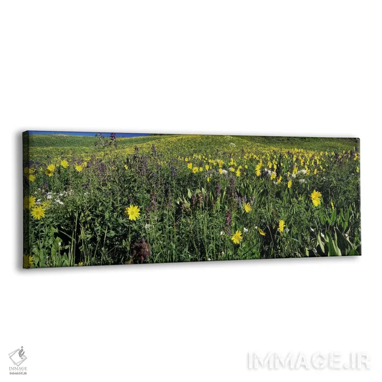 تابلو دکوراتیو West Maroon Pass, Crested Butte, Gunnison County, Color… اثر پانورامیک ایمجز - نمای پرسپکتیو محصول