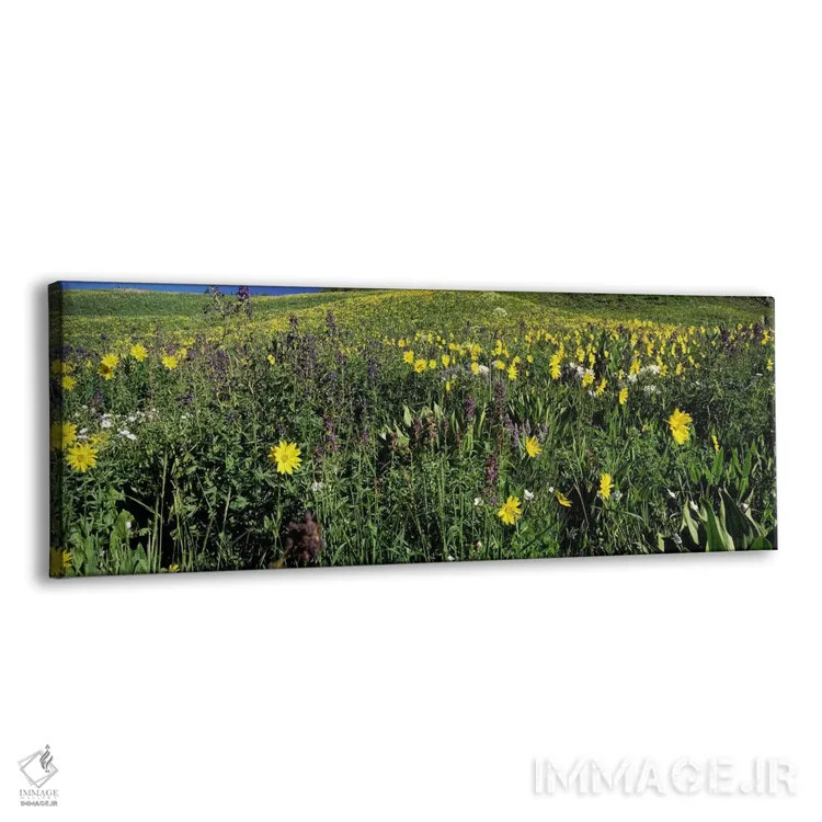 تابلو دکوراتیو West Maroon Pass, Crested Butte, Gunnison County, Color… اثر پانورامیک ایمجز - نمای پرسپکتیو محصول