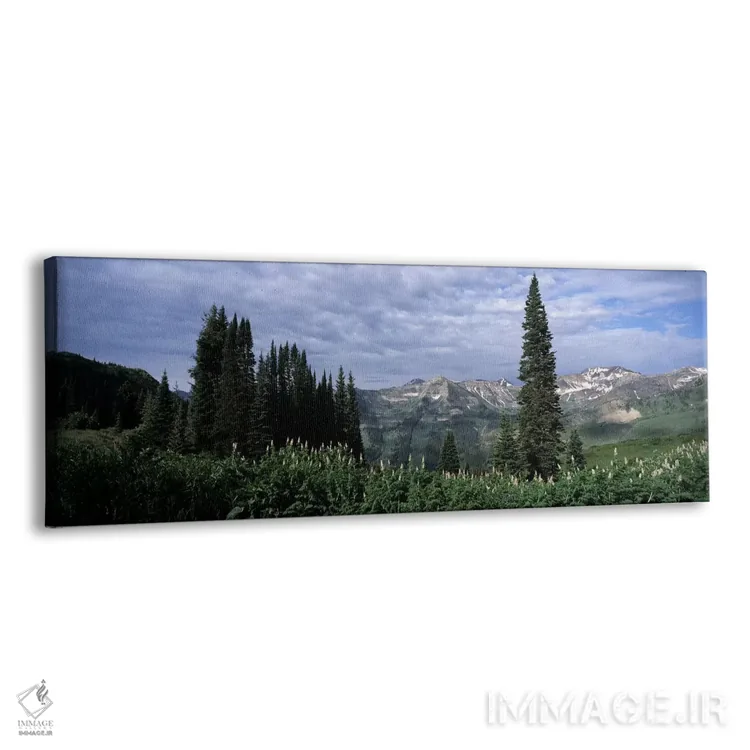 تابلو دکوراتیو Washington Gulch Trail, Crested Butte, Gunnison County… اثر پانورامیک ایمجز - نمای پرسپکتیو محصول