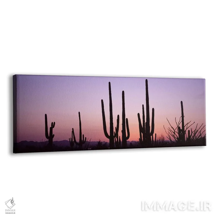 تابلو دکوراتیو Saguaro National Park, Tucson, Pima County, Arizona, US… اثر پانورامیک ایمجز - نمای پرسپکتیو محصول