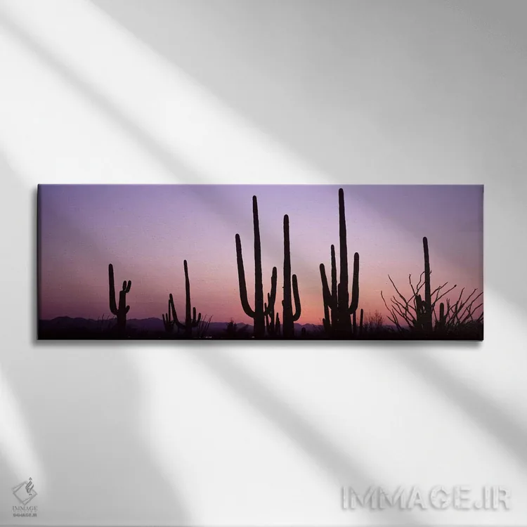 تابلو دکوراتیو Saguaro National Park, Tucson, Pima County, Arizona, US… اثر پانورامیک ایمجز - نمای روبهرو روی دیوار